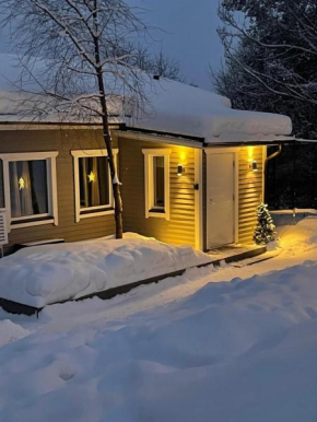 Piilopaikka keskustassa, Rovaniemi